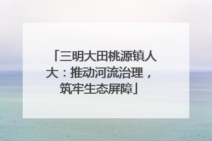 三明大田桃源镇人大：推动河流治理，筑牢生态屏障