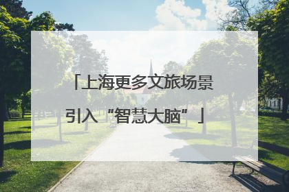 上海更多文旅场景引入“智慧大脑”