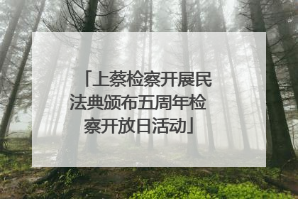 上蔡检察开展民法典颁布五周年检察开放日活动
