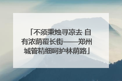不须秉烛寻凉去 自有浓荫覆长街——郑州城管精细呵护林荫路