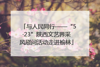 与人民同行——“5·23”陕西文艺界采风慰问活动走进榆林