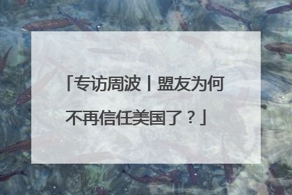 专访周波丨盟友为何不再信任美国了？