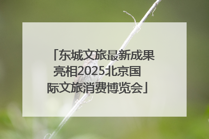 东城文旅最新成果亮相2025北京国际文旅消费博览会