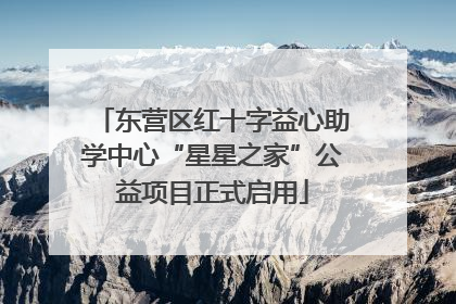 东营区红十字益心助学中心“星星之家”公益项目正式启用