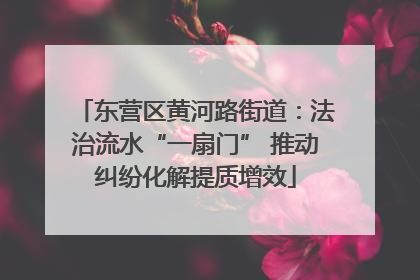 东营区黄河路街道：法治流水“一扇门” 推动纠纷化解提质增效