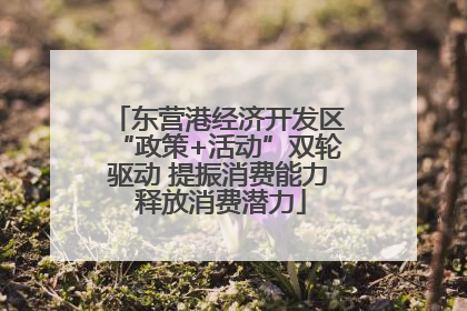 东营港经济开发区“政策+活动”双轮驱动 提振消费能力 释放消费潜力
