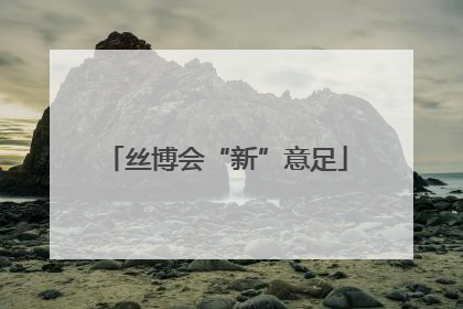 丝博会“新”意足