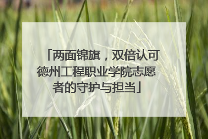 两面锦旗，双倍认可德州工程职业学院志愿者的守护与担当