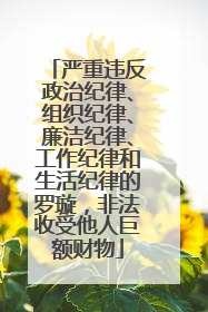严重违反政治纪律、组织纪律、廉洁纪律、工作纪律和生活纪律的罗璇，非法收受他人巨额财物