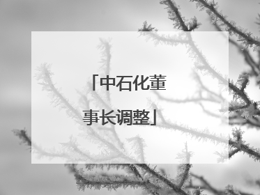 中石化董事长调整
