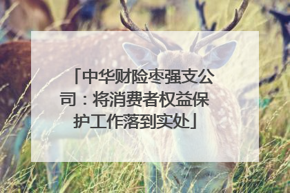 中华财险枣强支公司：将消费者权益保护工作落到实处