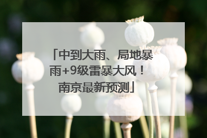中到大雨、局地暴雨+9级雷暴大风！南京最新预测