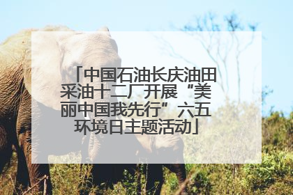 中国石油长庆油田采油十二厂开展“美丽中国我先行”六五环境日主题活动