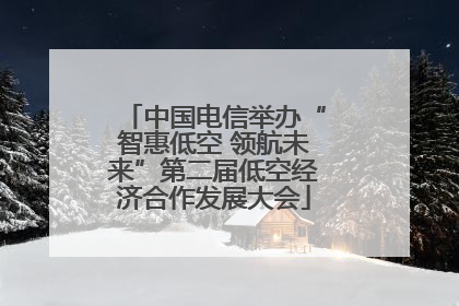 中国电信举办“智惠低空 领航未来”第二届低空经济合作发展大会
