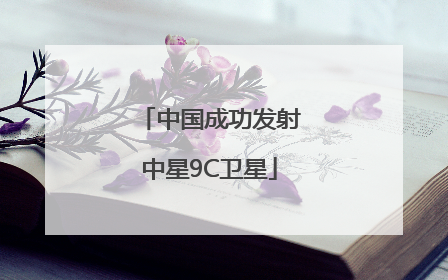 中国成功发射中星9C卫星