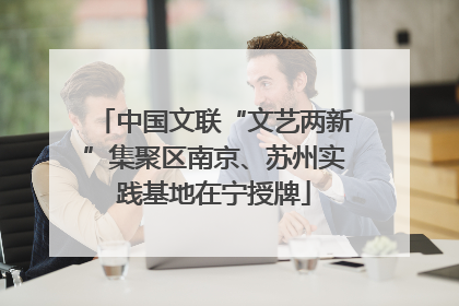 中国文联“文艺两新”集聚区南京、苏州实践基地在宁授牌