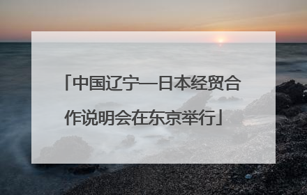 中国辽宁—日本经贸合作说明会在东京举行