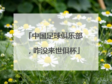 中国足球俱乐部，咋没来世俱杯