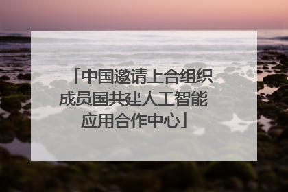 中国邀请上合组织成员国共建人工智能应用合作中心