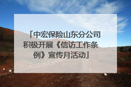 中宏保险山东分公司积极开展《信访工作条例》宣传月活动