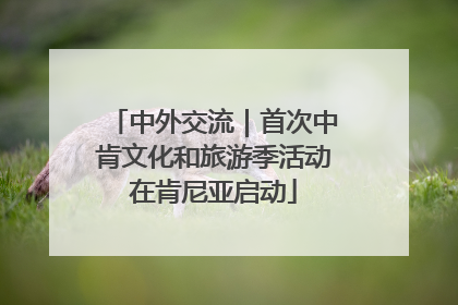 中外交流｜首次中肯文化和旅游季活动在肯尼亚启动