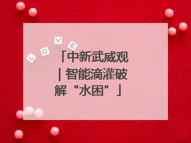 中新武威观｜智能滴灌破解“水困”