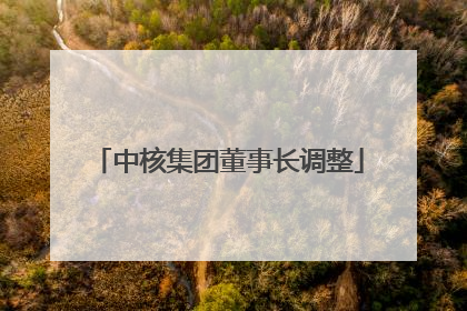 中核集团董事长调整