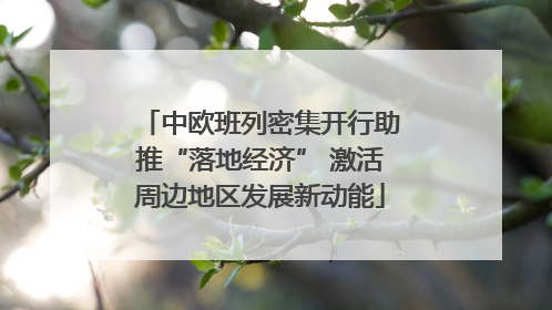 中欧班列密集开行助推“落地经济” 激活周边地区发展新动能