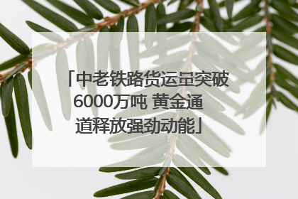 中老铁路货运量突破6000万吨 黄金通道释放强劲动能