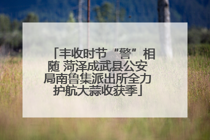 丰收时节“警”相随 菏泽成武县公安局南鲁集派出所全力护航大蒜收获季
