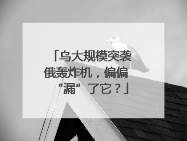 乌大规模突袭俄轰炸机，偏偏“漏”了它？