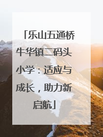 乐山五通桥牛华镇二码头小学：适应与成长，助力新启航