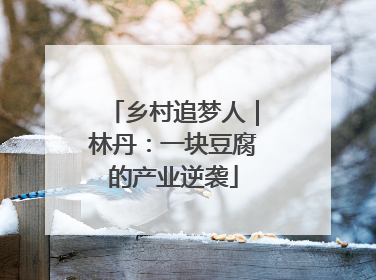乡村追梦人｜林丹：一块豆腐的产业逆袭
