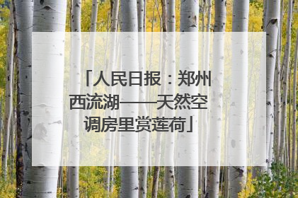 人民日报：郑州西流湖——天然空调房里赏莲荷
