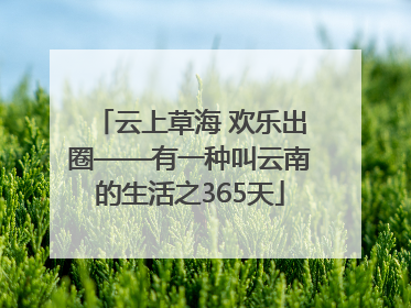 云上草海 欢乐出圈——有一种叫云南的生活之365天
