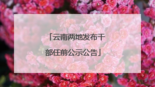 云南两地发布干部任前公示公告