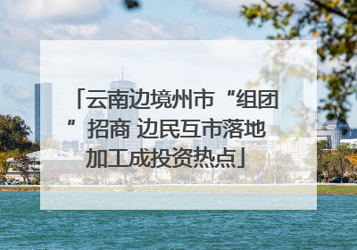 云南边境州市“组团”招商 边民互市落地加工成投资热点