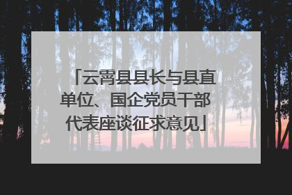 云霄县县长与县直单位、国企党员干部代表座谈征求意见