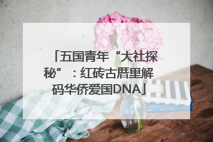 五国青年“大社探秘”：红砖古厝里解码华侨爱国DNA