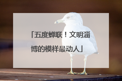 五度蝉联！文明淄博的模样最动人