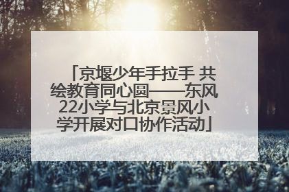 京堰少年手拉手 共绘教育同心圆——东风22小学与北京景风小学开展对口协作活动