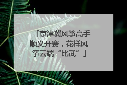 京津冀风筝高手顺义开赛，花样风筝云端“比武”