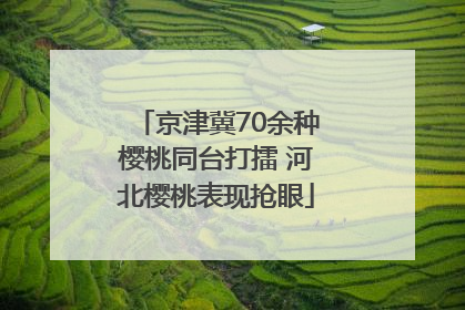 京津冀70余种樱桃同台打擂 河北樱桃表现抢眼