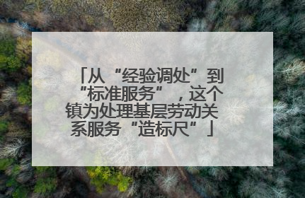 从“经验调处”到“标准服务”，这个镇为处理基层劳动关系服务“造标尺”