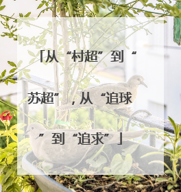 从“村超”到“苏超”，从“追球”到“追求”