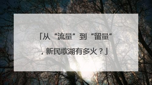 从“流量”到“留量”，新民歌湖有多火？