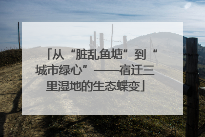 从“脏乱鱼塘”到“城市绿心”——宿迁三里湿地的生态蝶变