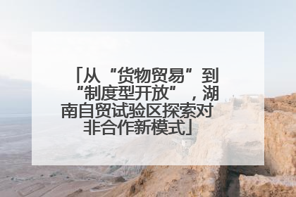 从“货物贸易”到“制度型开放”，湖南自贸试验区探索对非合作新模式