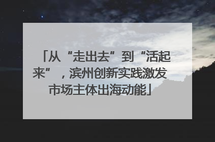 从“走出去”到“活起来”，滨州创新实践激发市场主体出海动能