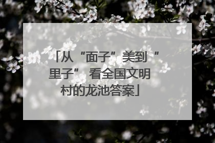 从“面子”美到“里子” 看全国文明村的龙池答案